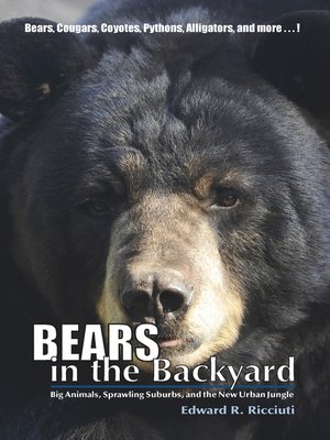 cover image of Bears in the Backyard